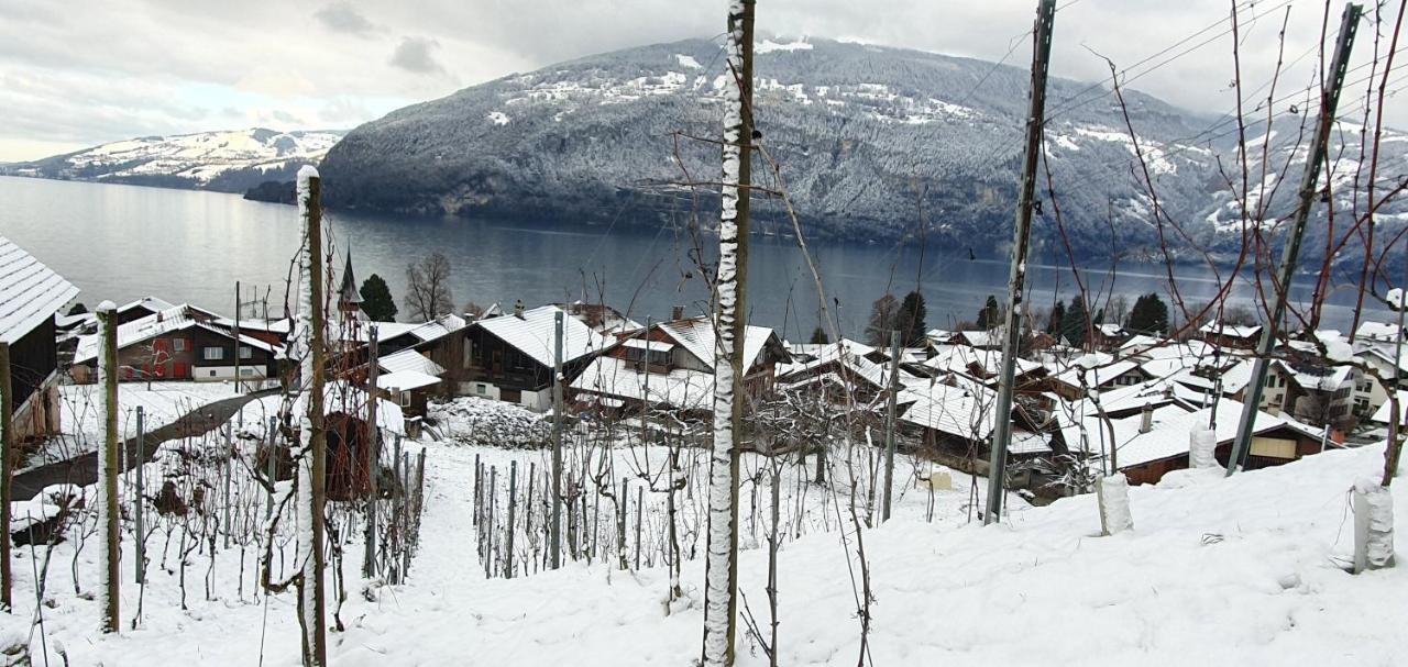 Hotel Rosengaertli ライシーゲン エクステリア 写真